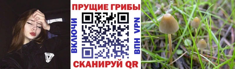 Псилоцибиновые грибы ЛСД  наркошоп  Сим 